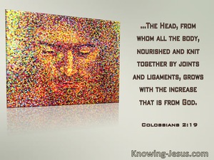 Colossians 2:19 The Head From Whom All The Body Is Nourished And Knit Together (windows)03:16