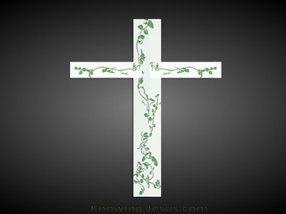 CROSS Vines (green)