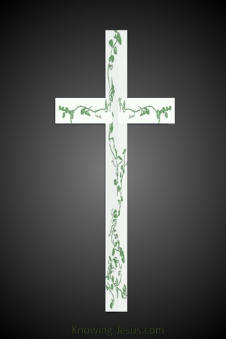 CROSS Vines (green)