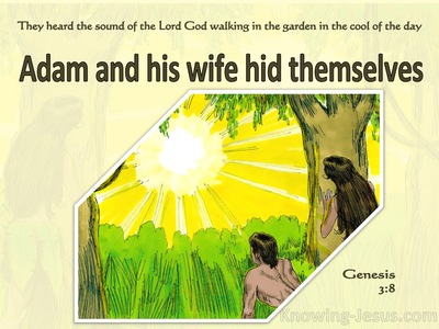 Genesis 3:8 The Man And His Wife Hid Themselves (yellow)