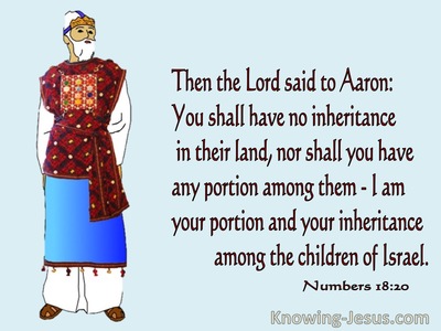 Numbers18-20 Your Shall Have No Inheritance In The Land (blue)
