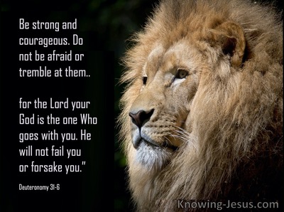 Deuteronomy 31:6 Be strong and courageous, do not be afraid or tremble ...