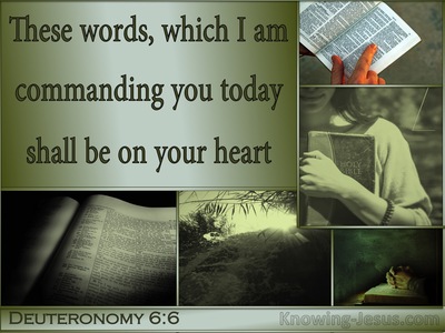 Deuteronomy 6:6 Keep These Words On Your Heart (sage)