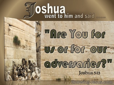 Joshua 5:13 Are Your For Us (brown)