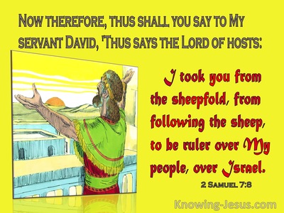 2 Samuel 7:8 The Lord Took You From The Sheepfold To Be My Ruler Over Israel (yellow)
