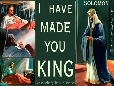 2 Chronicles 1:11 I Have Made You King (green)