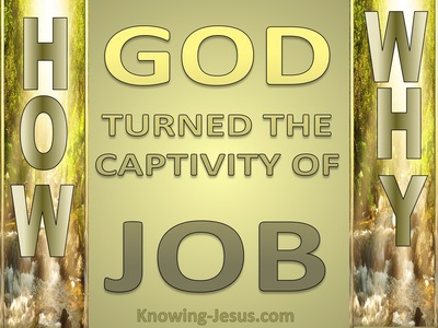 Have You Considered How And Why  (devotional) (gold) - Job 42:10