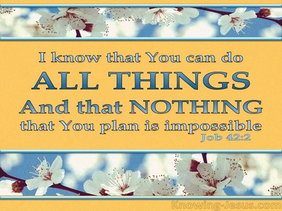 Job 42:2 You Can Do All Things (yellow)