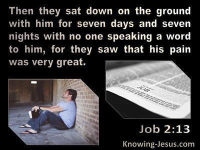 Job 2:13 They Sat On The Ground With Job For 7 Days And Nights And No One Spoke (black)