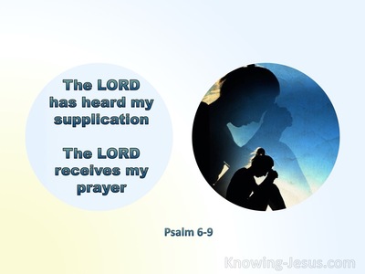 Psalm 6:9 The Lord Has Heard My Supplication And Received My Prayer (aqua)