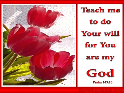 Psalm 143:10 Teach Me To Do Your Will (red)