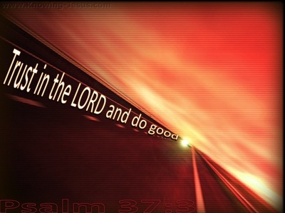 Psalm 37:3 Trust in the Lord  And Do Good (red)