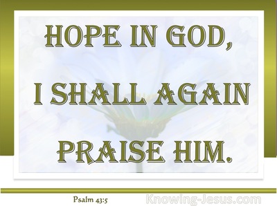 Psalm 43:5 Hope In God (sage)