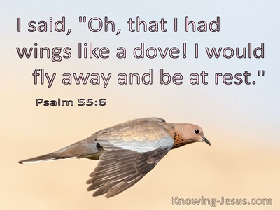 Psalm 55:6 Oh That I Had Wings Like A Dove (blue)