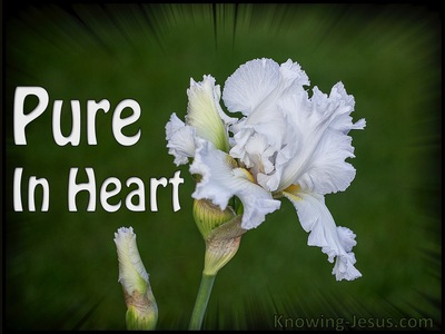 Proverbs 22:11 Pure In Heart (devotional)04-07 (white)