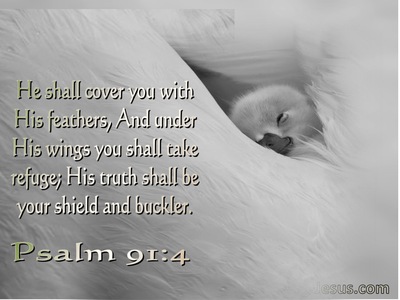 Psalm 91:4 He Will Cover You With His Pinions,And Under His Wings You May  Seek Refuge;His Faithfulness Is A Shield And Bulwark.