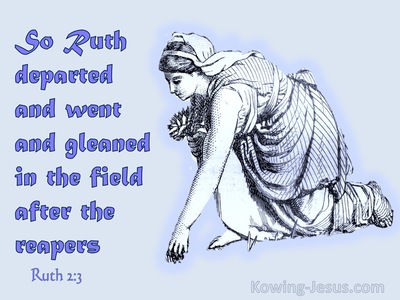 Ruth 2:3  Ruth Departed And Gleaned In The Field (purple)