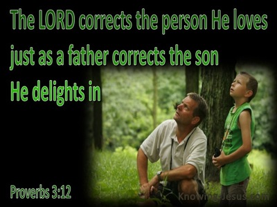 Proverbs 3:12 God Corrects Us (green)