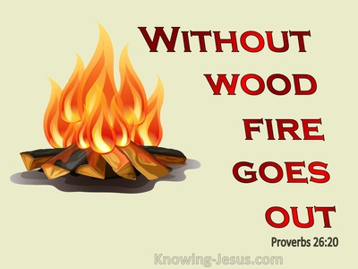 Proverbs 26:20 Without Wood, Fire Goes Out Without A Gossip, Conflict Dies Down (red)