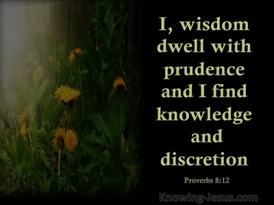 Proverbs 8:12 “I, Wisdom, Dwell With Prudence,And I Find Knowledge And  Discretion.