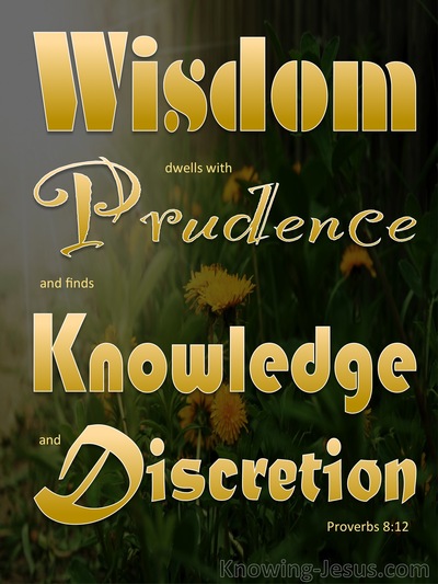 Proverbs 8:12 “I, Wisdom, Dwell With Prudence,And I Find Knowledge And  Discretion.