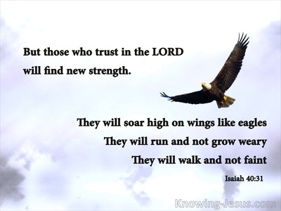 Isaiah 40:31 Those Who Trust In The Lord Will Soar (brown)