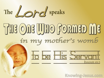 Isaiah 49:5 The Lord Formed Me In My Mother's Womb (yellow)