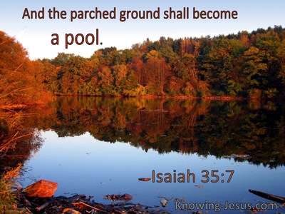 Isaiah 35:7 And The Parched Ground Shall Become A Pool (utmost)07:06