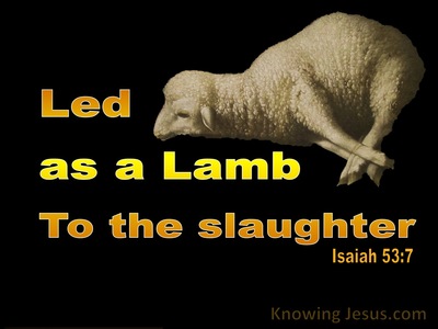 82 Bible Verses About Sheep