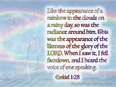 Ezekiel 1:28  It Was The Appearance Of The Likeness Of The Glory Of The Lord (blue)