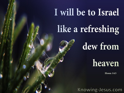 Hosea 14:5 Like Refreshing Dew To Israel (green)