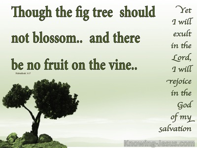 Habakkuk 3:17 Though The Fig tree Should Not Blossom (white)
