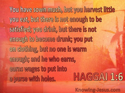 Haggai 1:6 Your Sow Much But Harvest Little (orange)