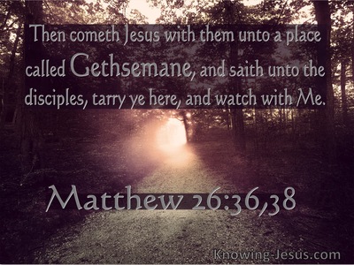 Matthew 7 7 Knock And The Door Will Be Opened Red