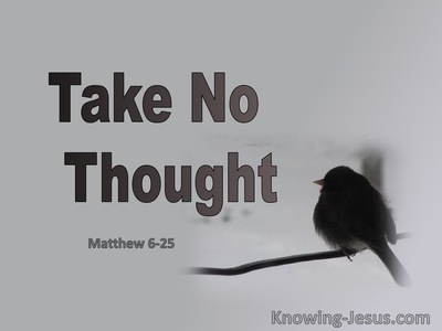 Matthew 6:25 Take No Thought (gray)