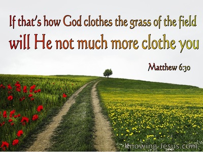 Matthew 6:30 If God So Clothe The Grass Of The Field (red)