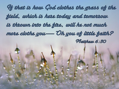 Matthew 6:30 If God So Clothe The Grass Will He Not Much More Clothe You Ye Of Little Faith (blue)