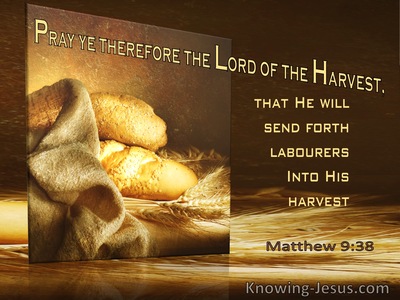 Harvest festival related bible verses