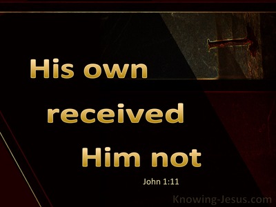 John 1:11 His Own Received Him Not (gold) 