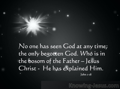 John 1:18 No one has seen God at any time; the only begotten God who is ...