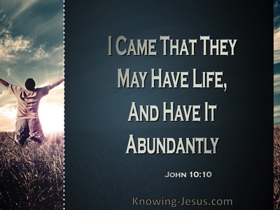 John 10:10 Jesus Came That They Might Have Life (windows)01:23