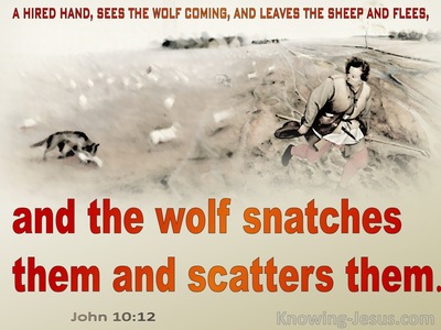 15 Bible Verses About Scattered Like Sheep