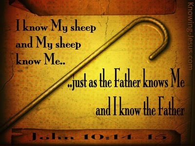 John 10:14 I Know My Sheep And My Sheep Know Me (brown)