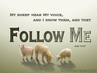 John 10:27 My Sheep Hear My Voice (green)