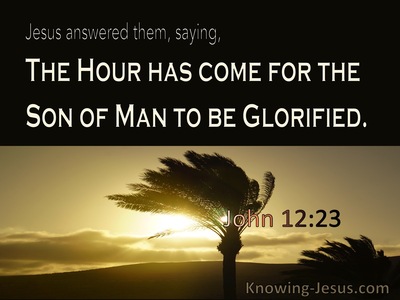 John 12:23 The Hour Has Come (brown)