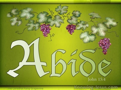 John 15 4 Abide In Me And I In You As The Branch Cannot Bear Fruit Of Itself Unless It Abides In The Vine So Neither Can You Unless You Abide In Me