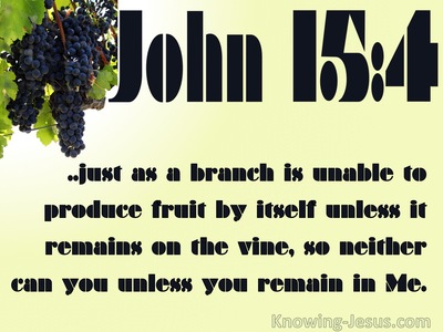 Image result for image fruit from the Vine Bible