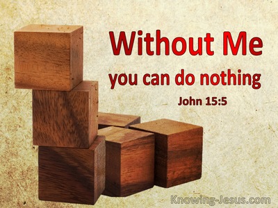 John 15:5 Without Me You Can Do Nothing (windows)01:25