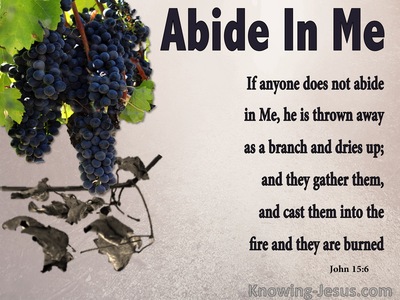 John 15:6 He Who Does Not Abide In Me Is Thrown Away (beige)