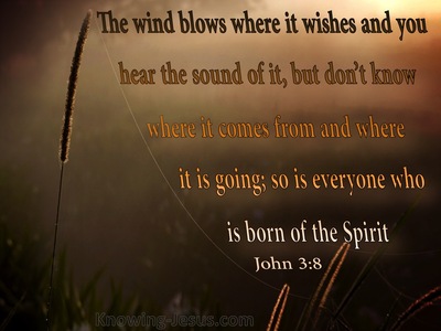 John 3:8 The Wind Blows Where It Wills (orange)